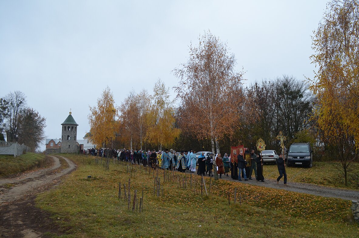 dsc_0611.jpg